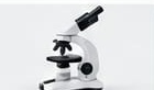Diagnostic & Laboratory